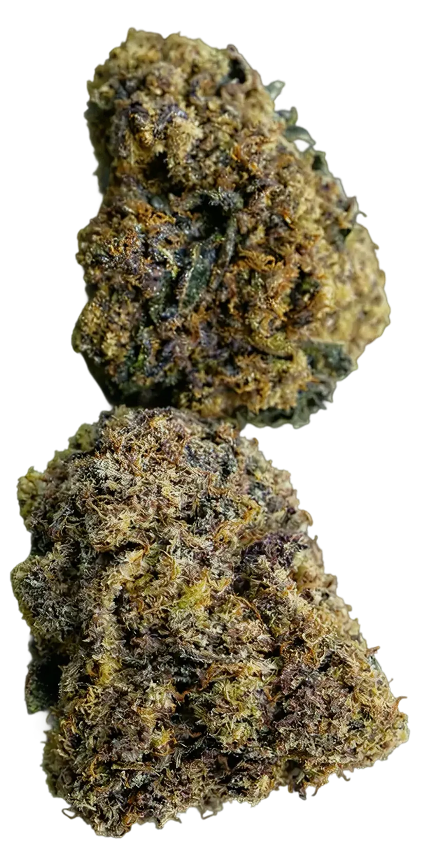 Ice Cream Cake (Indica Dominant Hybrid)